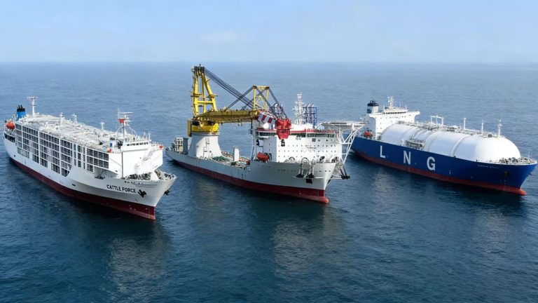 Different types of cargo ships used in the world